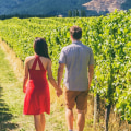 Are there any wineries or breweries available in charlotte, north carolina?